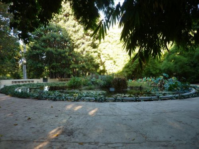 OBP10.jpg