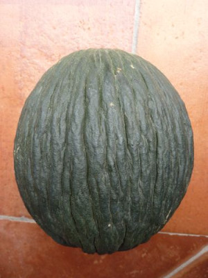 Fs8.jpg