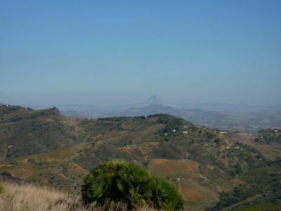 Sl28.jpg