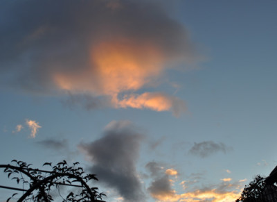 Novemberhimmel_12__4328.jpg
