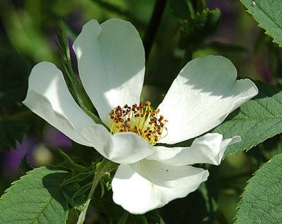 DSC_0156_3.jpg