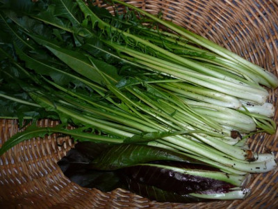 ernte_121106.jpg