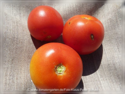 2012_Provedance_Fruit1.jpg