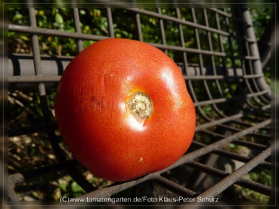 2012_Provedance_Fruit2.jpg