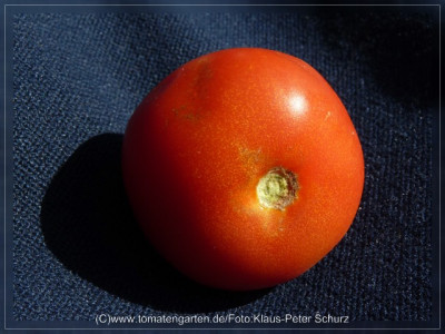 2012_Provedance_Fruit4.jpg