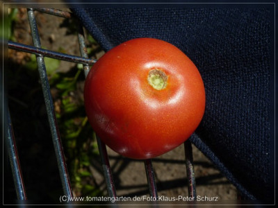 2012_Provedance_Fruit5.jpg