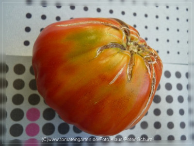 2012_Provencano_Fruit1.jpg