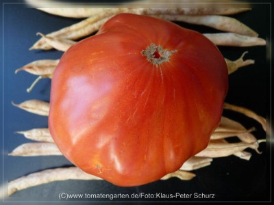 2012_Provencano_Fruit2.jpg