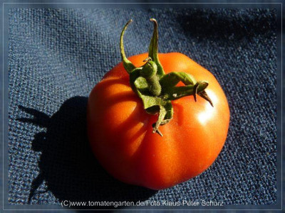 2012_Rasp_Large_Red_Fruit3.jpg
