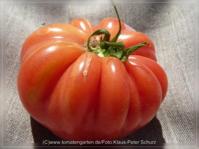 2012_Rasp_Large_Red_Fruit9.jpg