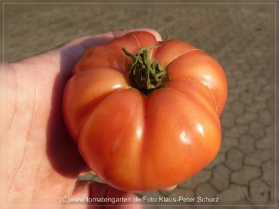 2012_Rasp_Large_Red_Fruit10.jpg