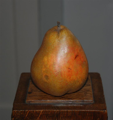 C5069a_Large.jpg