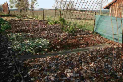 Mulch0512.jpg