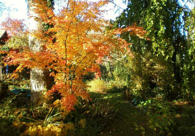 GP_E6_2012-11-07.jpg