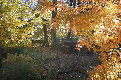 GP_E7_2012-11-07.jpg
