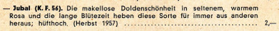 Jubal_Kat._1957.jpg