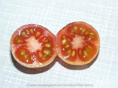 2012_Rose_de_Podlaky_Fruit_Sliced1.jpg