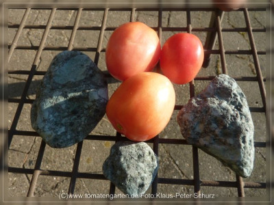 2012_Rose_de_Podlaky_Fruit1.jpg