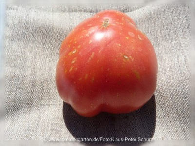 2012_Rosovij_Slon_Fruit2.jpg