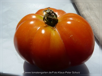 2012_Rosovij_Slon_Fruit1.jpg