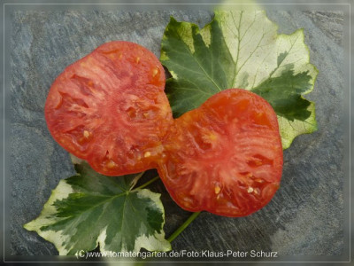 2012_Rosovij_Slon_Fruit_Sliced.jpg