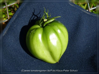 2012_Russian117_Fruit2.jpg