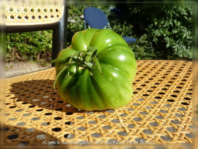 2012_Russian117_Fruit4.jpg