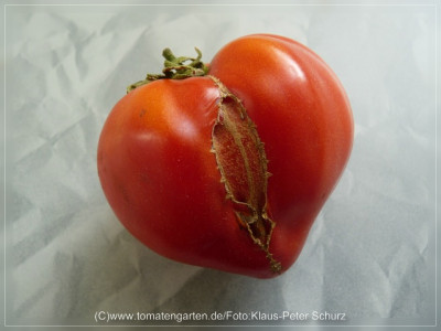 2012_Russian117_Fruit9.jpg