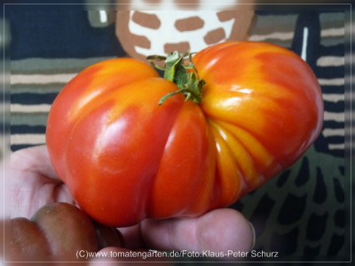 2012_Russian117_Fruit1.jpg