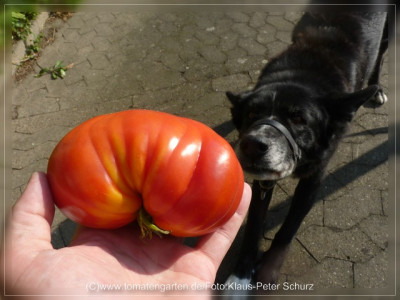 2012_Russian117_Fruit7.jpg