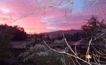 morgenrot_005_kl..jpg