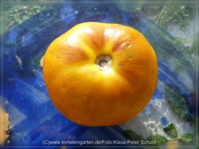 2012_Seattles_Blue_Wooly_Mammoth_F3B_Fruit2.jpg