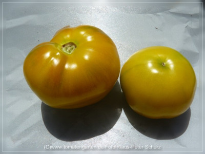 2012_Seattles_Blue_Wooly_Mammoth_F3B_Fruit1.jpg