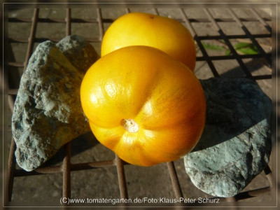 2012_Seattles_Blue_Wooly_Mammoth_F3B_Fruit4.jpg