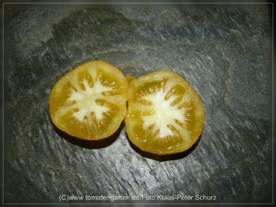 2012_Seattles_Blue_Wooly_Mammoth_F3B_Fruit_Sliced.jpg