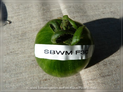 2012_Seattles_Blue_Wooly_Mammoth_F3C_Fruit3.jpg
