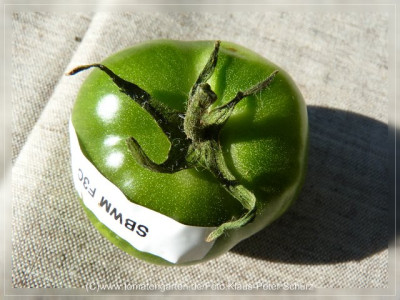 2012_Seattles_Blue_Wooly_Mammoth_F3C_Fruit4.jpg