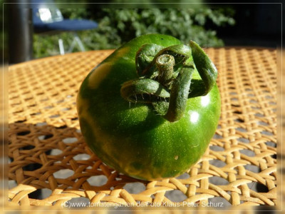 2012_Seattles_Blue_Wooly_Mammoth_F3C_Fruit6.jpg