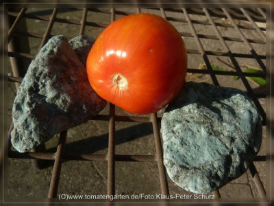 2012_Seattles_Blue_Wooly_Mammoth_F3C_Fruit2.jpg