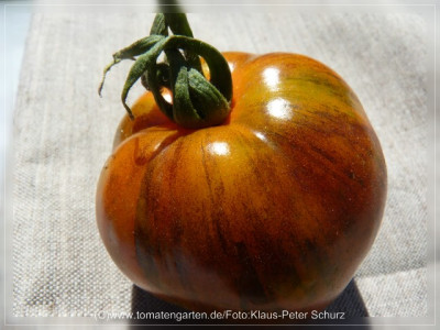 2012_F3C_Fruit8.jpg