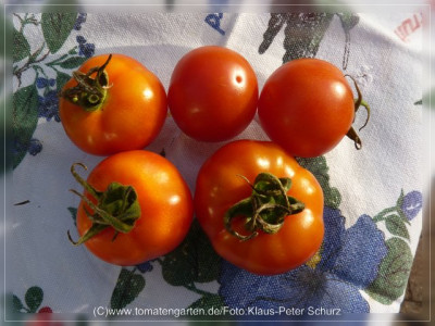 2012_Southport_Fruit3.jpg