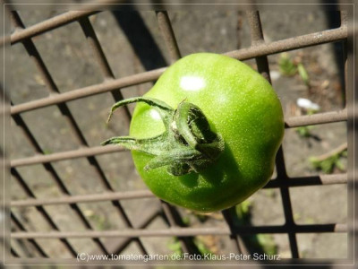 2012_Southport_Fruit6.jpg