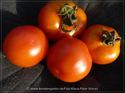 2012_Southport_Fruit2.jpg
