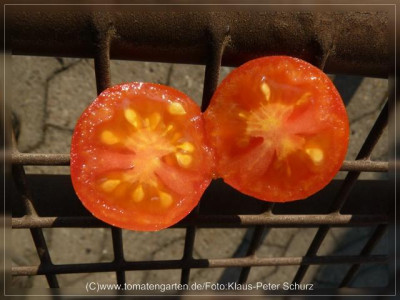 2012_Southport_Fruit_Sliced.jpg