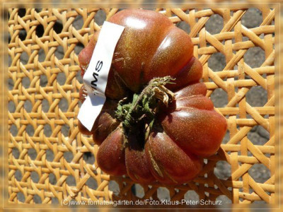 2012_Tims_Black_Ruffled_Fruit6.jpg