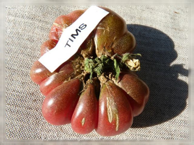 2012_Tims_Black_Ruffled_Fruit8.jpg