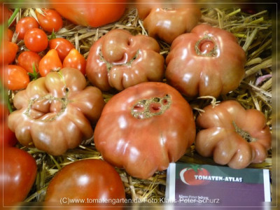 2012_Tims_Black_Ruffled_GardenShow.jpg