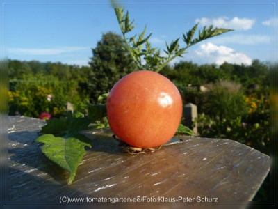 2012Dagestanskije_Fruit2.jpg