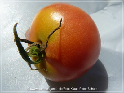 2012Dagestanskije_Fruit3.jpg