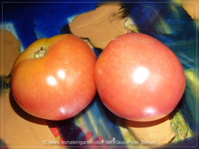 2012Dagestanskije_Fruit5.jpg